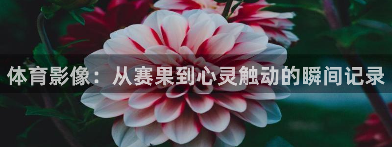 球进体育APP下载安装