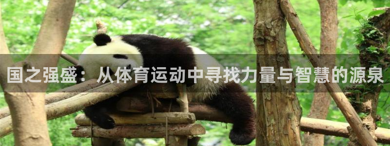球进体育app