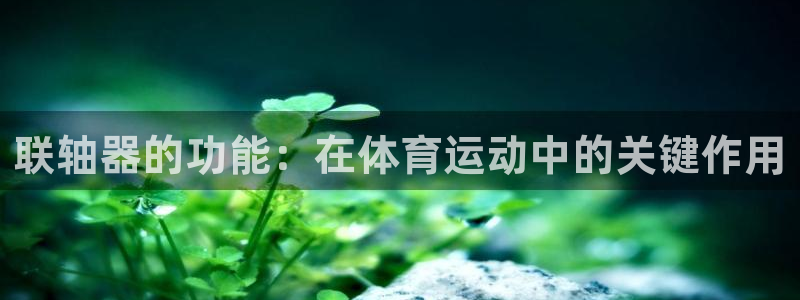 球进体育