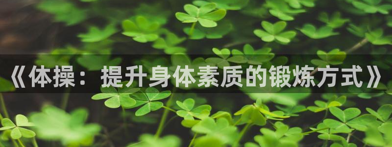 球进体育