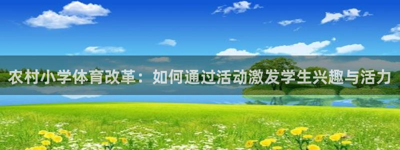 球进体育