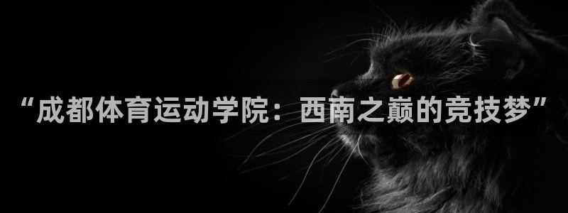 球进体育APP下载安装