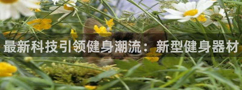 球进体育吧：最新科技引领健身潮流：新型健身器材