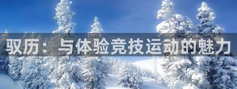 球进体育app下载：驭历：与体验竞技运动的魅力