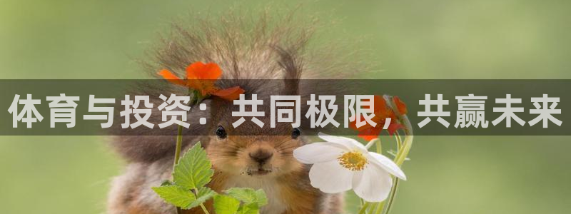 关键词：体育与投资：共同极限，共赢未来