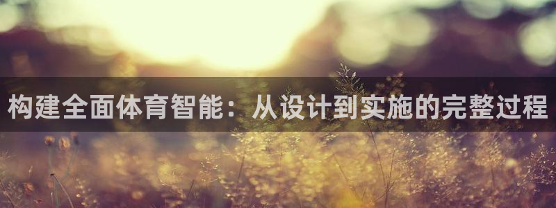 球进体育官方网站入口：构建全面体育智能：从设计到实施的完整过程